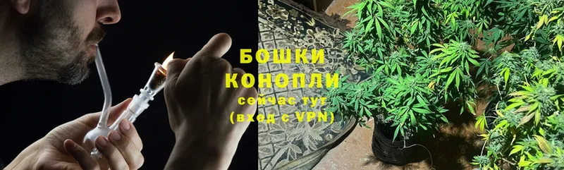 Бошки Шишки OG Kush  omg tor  Артёмовский 